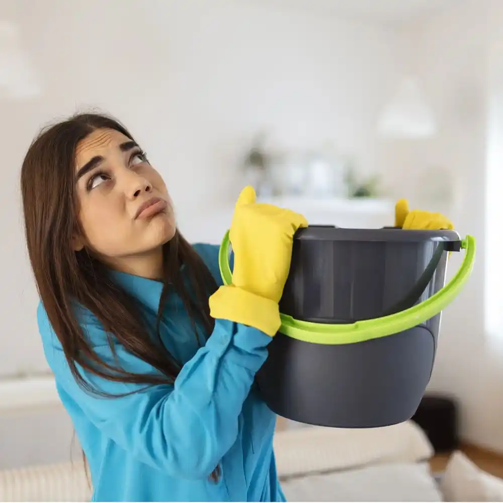 water damage restoration service Thiells